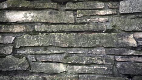 stone wall background. dolly shot of stone wall texture