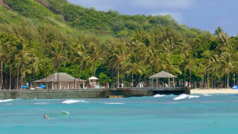 Tropical Beach Scene in Waikiki, Oahu