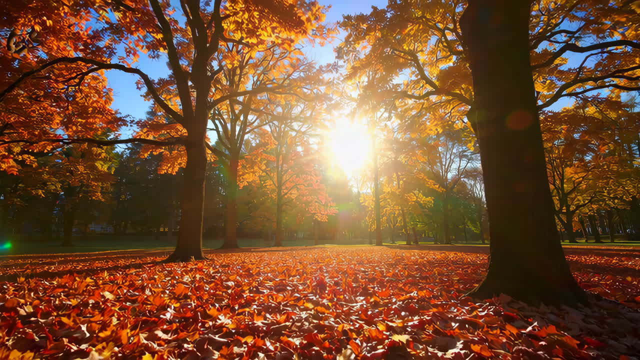 Autumn Park Scene with Golden Leaves
