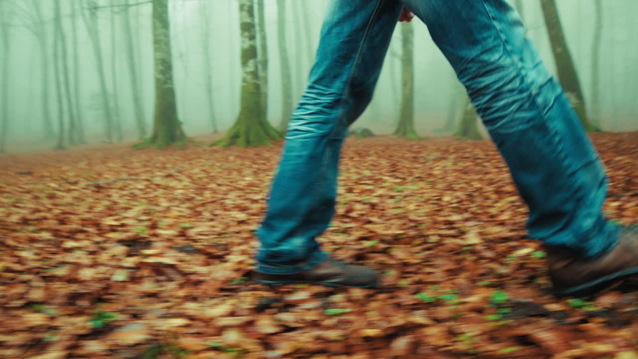 Legs of an Old Man Walking on a Carpet of Dry Autumn Leaves In Foggy Mountain