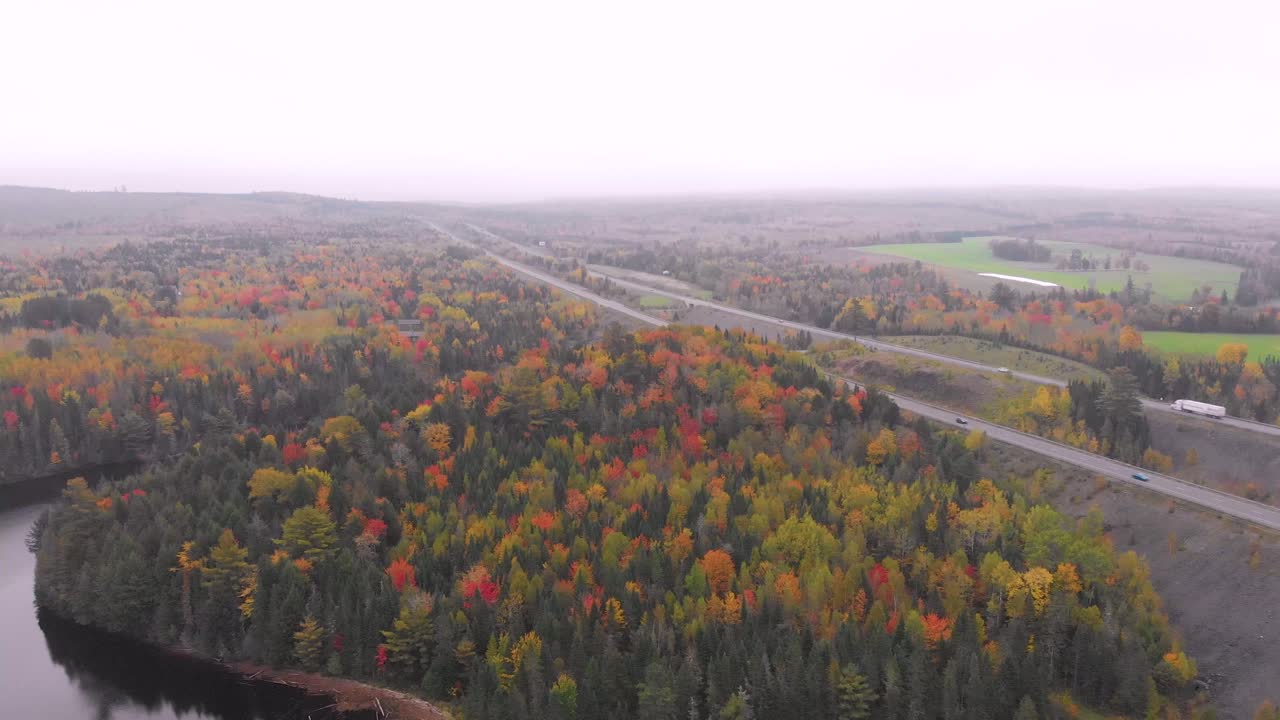 una amplia toma de drone que muestra un gran parche de árboles que han cambiado de color desde el otoño, las temperaturas de otoño, con una autopista gigante que corre a su lado