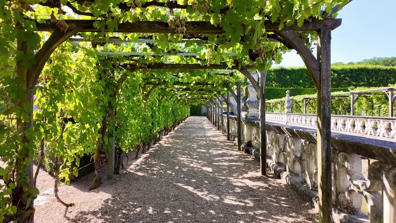 Træpergola i vingård og stenarkade med udsigt over de geometriske haver og Château de Villandry i fuldt sommerflor i Loire-dalen, Frankrig