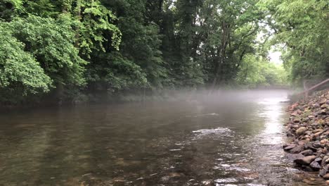 Río-Que-Fluye-A-Través-De-Un-Bosque-Denso