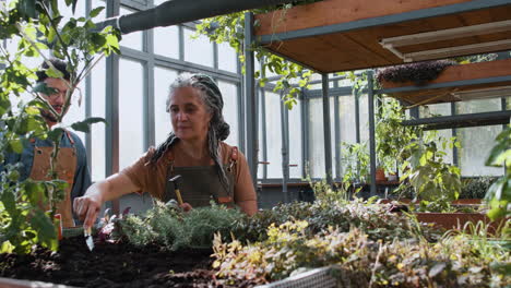 jardineros que trabajan en interiores