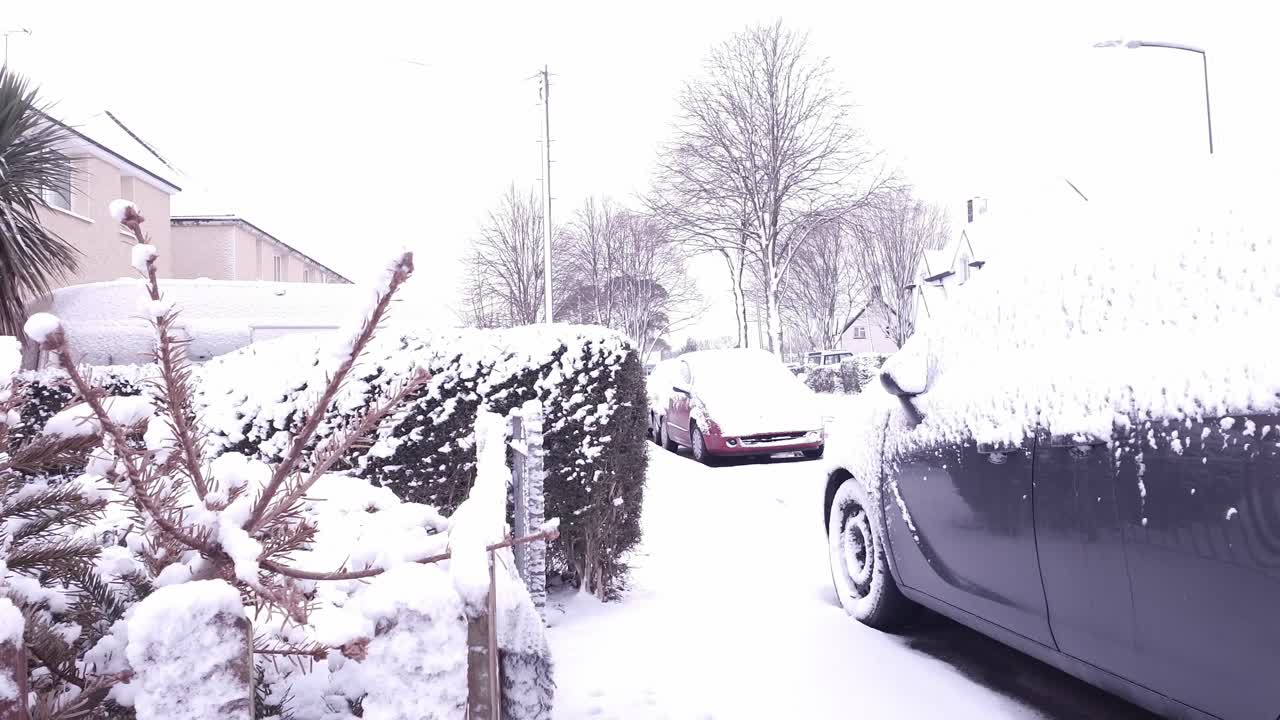 내 지역 마을의 눈 오는 날