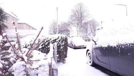 día de nieve en mi pueblo local