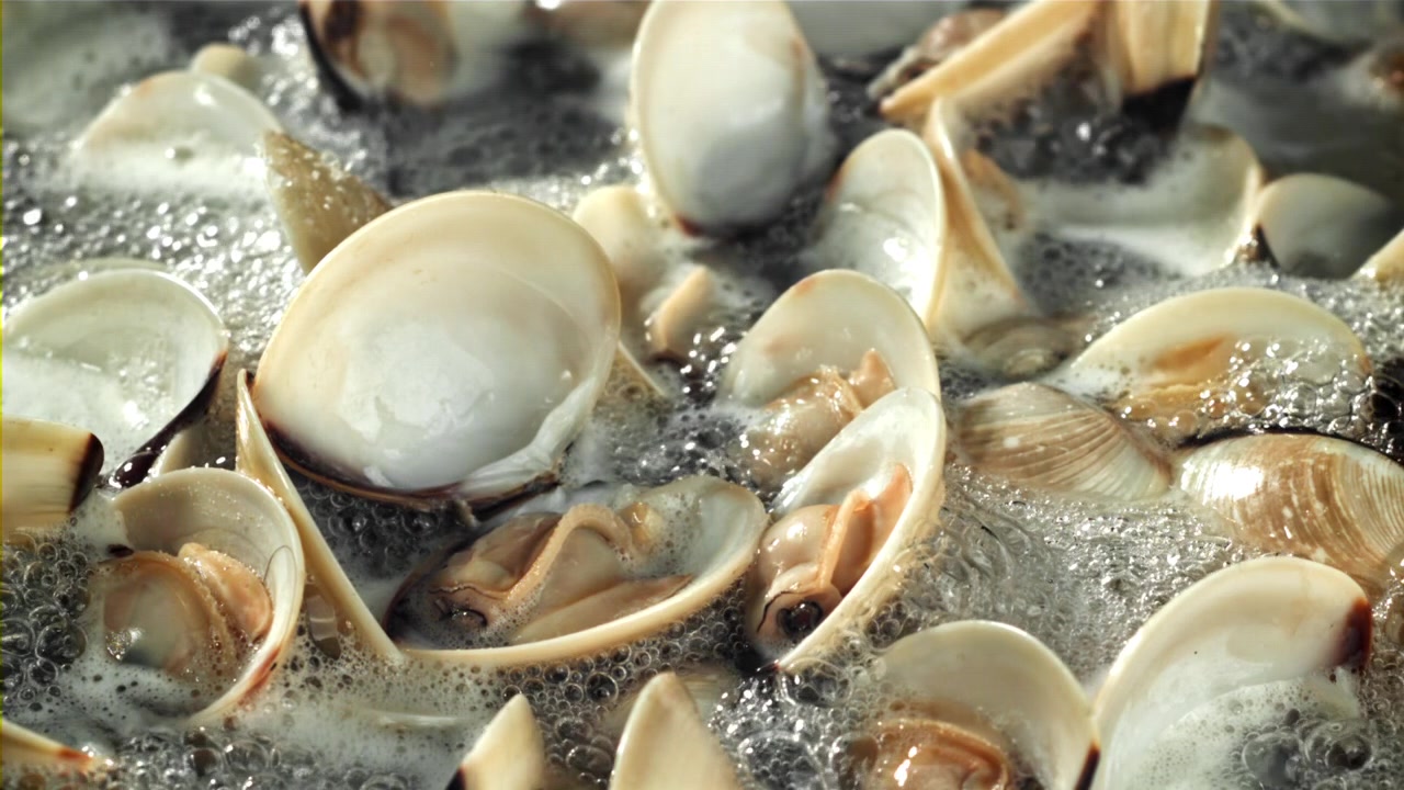Close-Up of Fresh Clams Cooking in Boiling Water