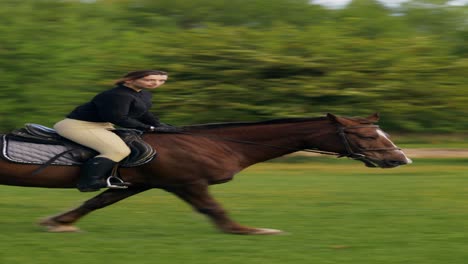 woman horseback riding in a park