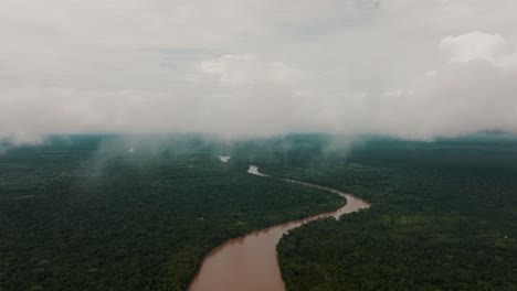 Panoramic-View-Of-Amazon-Rainforest-With-River-In-Ecuador