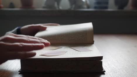 woman finds dry, pressed flower petals in book