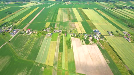 abstract geometric shapes of agricultural parcels of different crops in yellow and green colors