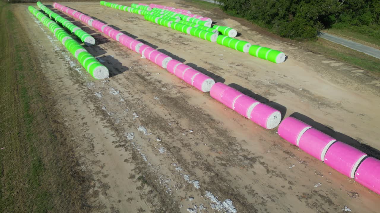 Henry County, Alabama'daki Headland yakınlarında, tarım arazisi boyunca uzun paralel sıralar halinde düzenlenmiş plastik kaplı ova pamuğu (Gossypium hirsutum) modüllerinin havadan yakınlaştırılmış çekimi