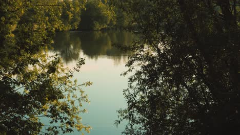 Blick-Durch-Bäume-Auf-Einen-Großen-See-Bei-Sonnenaufgang-Mit-Friedlichem,-Farbenfrohem-Ton---Zeitlupe