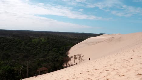 panoramic shot of famous dune du pilat in france beside forest landscape in sunlight - people walking down the sandy dune - panning wide shot - largest shifting dune in europe