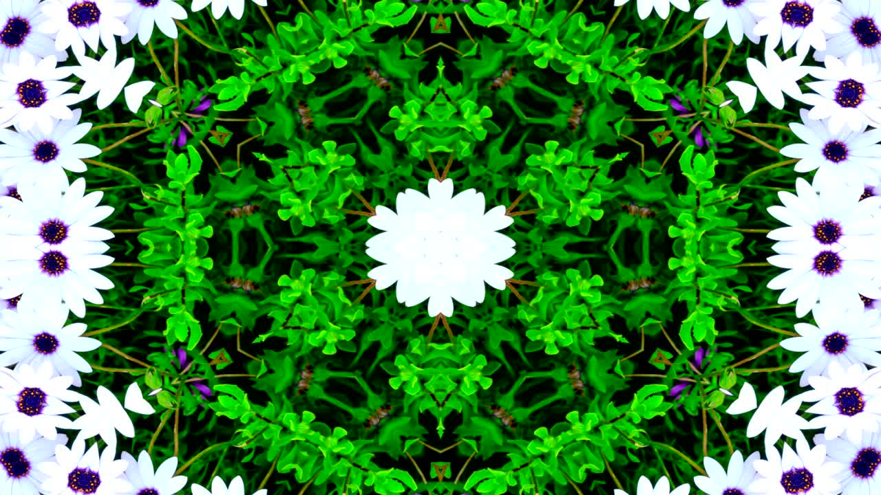 abstracto flores coloridas concepto de flora patrón simétrico ornamental decorativo caleidoscopio movimiento círculo geométrico y formas de estrellas