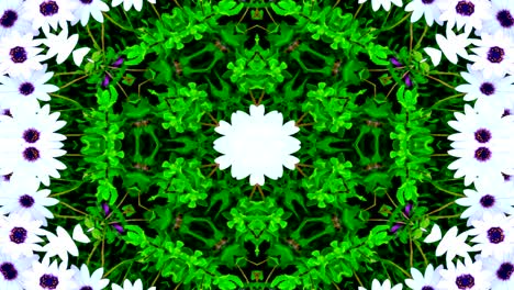 abstracto flores coloridas concepto de flora patrón simétrico ornamental decorativo caleidoscopio movimiento círculo geométrico y formas de estrellas