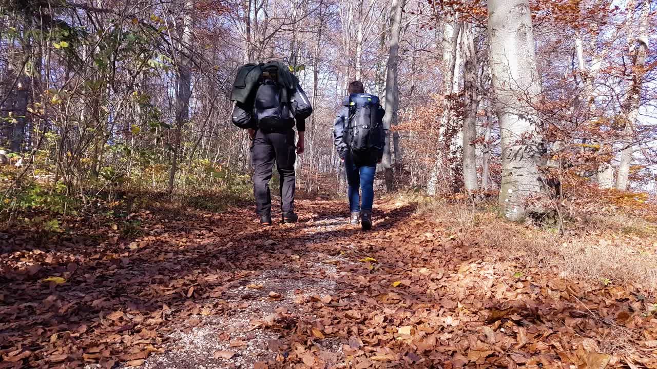 두 명의 배낭 여행자가 지나가는 숲길의 정적 카메라 보기