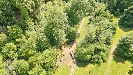 a uk rural park filmed from drone