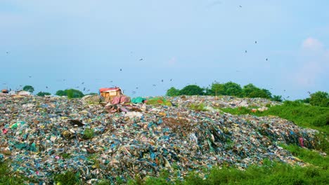 flock of birds flying over garbage dumpsites landfill at daytime