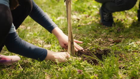 Mutter-Und-Kind-Arbeiten-Gemeinsam-Daran,-Im-Wald-Bäume-Zu-Pflanzen.