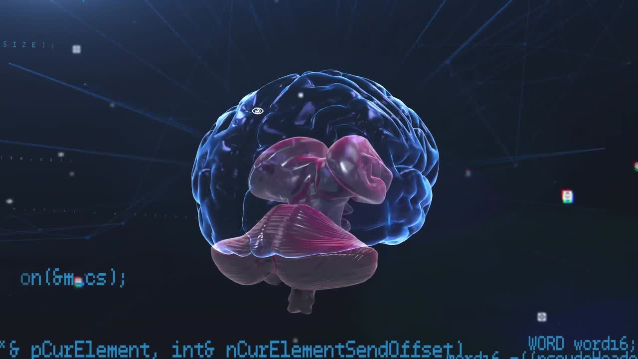 Animation of glowing human brain with digital interface data processing