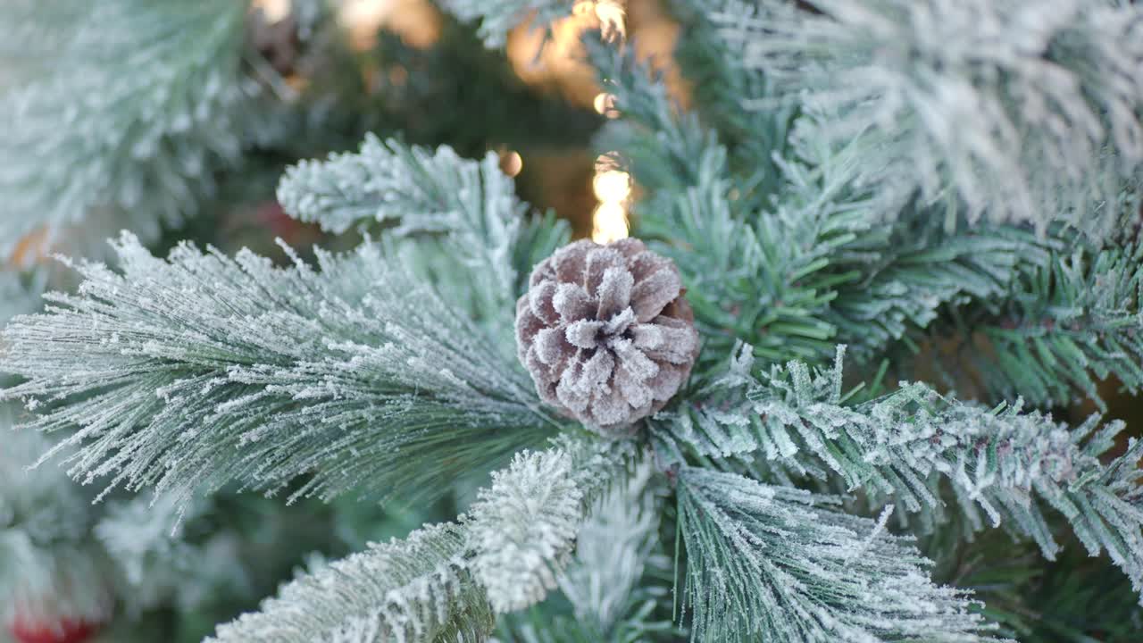 primer plano de un cono de pino en una rama de un árbol de navidad