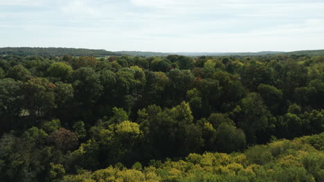 beautiful lush green jungle during autumn in arkansas, united states - drone shot