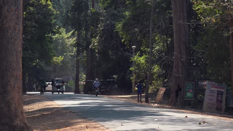 Wide-Time-Lapse-Shot-Of-Traffic-on-a-Busy-Road-With-Trees-on-Both-Sides-with-a-T-Junction-at-The-End