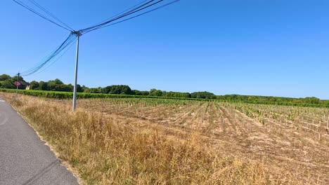 scenic road through vineyards and fields