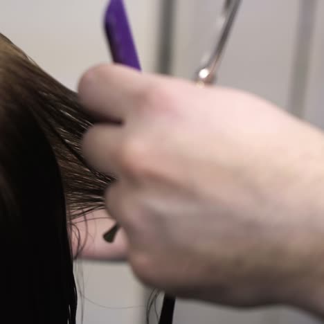 peluquero cortando el cabello