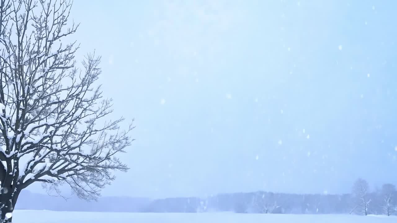 앞면 에 벌거벗은 나무 가 있는 겨울 풍경 에 눈 이 내리고 있다