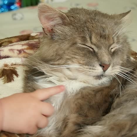 cute baby girl with cat