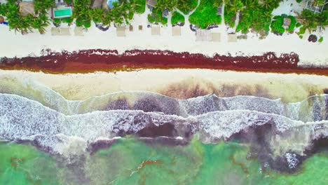 imágenes de drones de ojo de pájaro del idílico lugar de vacaciones tropical del caribe en méxico