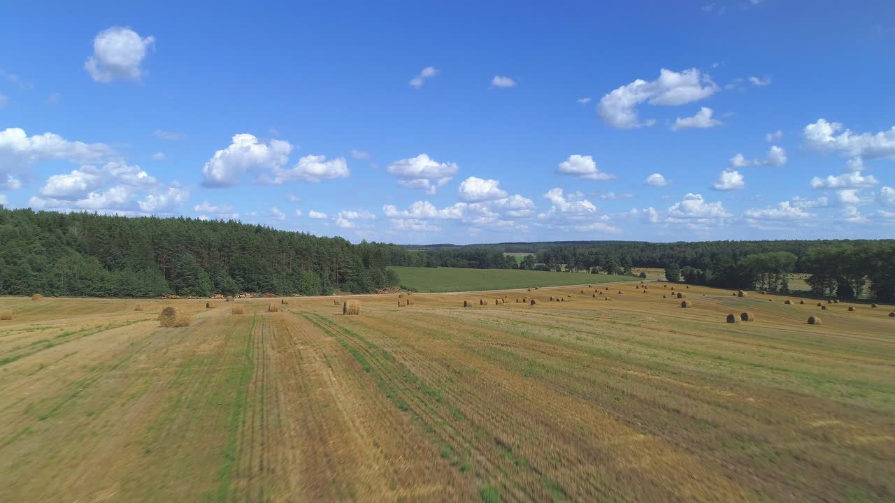 лететь над балами сена в поле