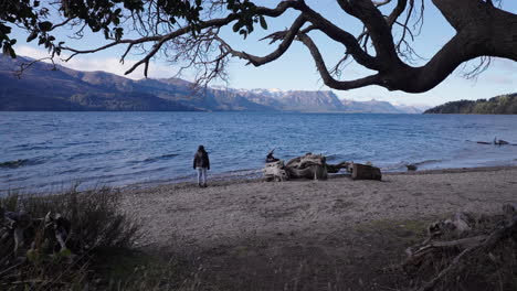 woman strolls by a windy lakeside, framed by fallen logs, leafy trees, and striking mountain views