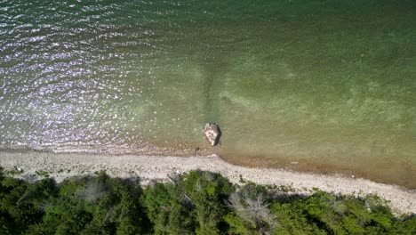 Aerial-topdown-of-forested-coastline-with-large-rock,-Lake-Huron,-Michigan