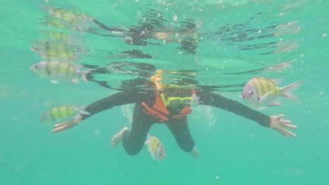 child snorkeling with colorful fish in thailand