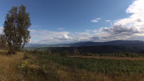 summer carpathians