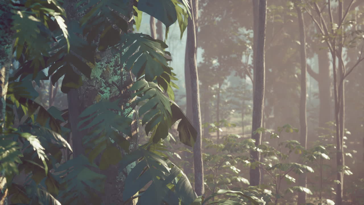 bosque tropical tranquilo con niebla y luz solar