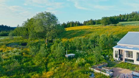 Dense Green Plants Near Forest And Hills. Aerial Drone Shot