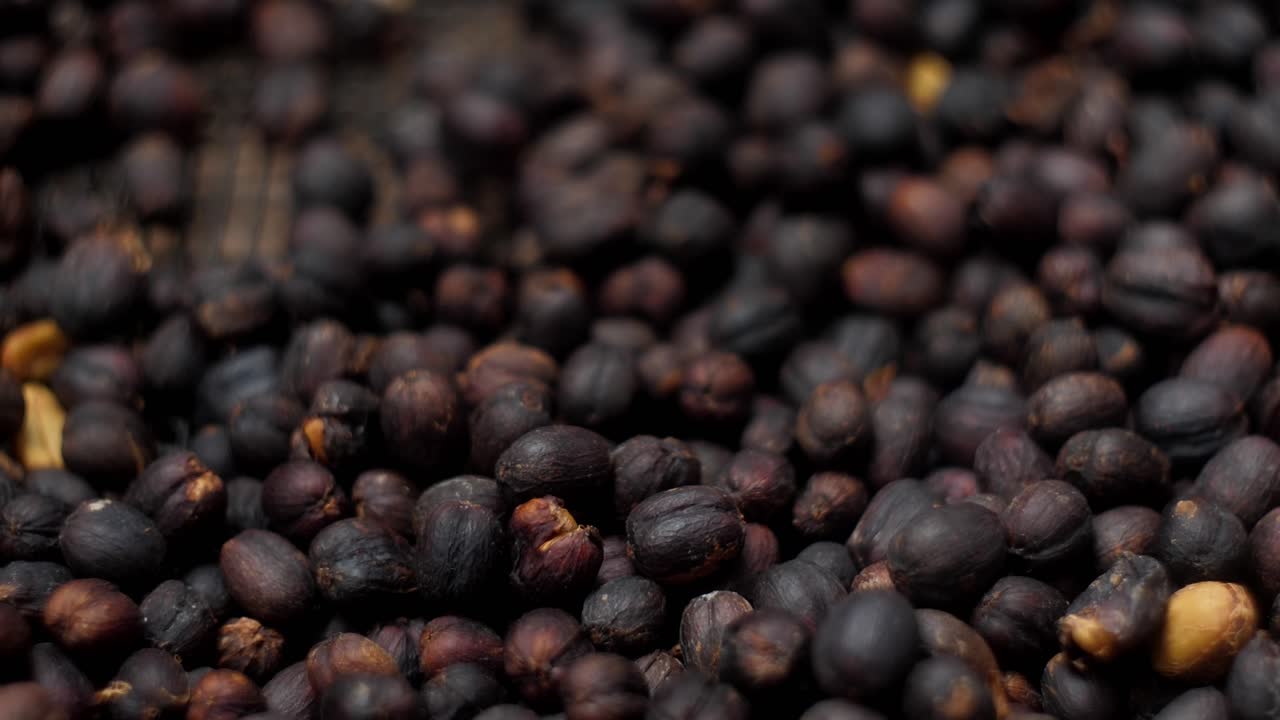 A man's palm holding a heap of dried coffee cherries, showing the texture and size of the natural process beans. Concept of harvest and abundance