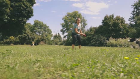 Felleltern-Spielen-Frisbee-Mit-Entzückendem-Border-Collie-Auf-Dem-Rasen