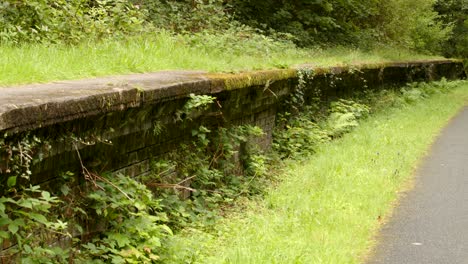 wide shot of overgrown disused railway platform at cynonville station