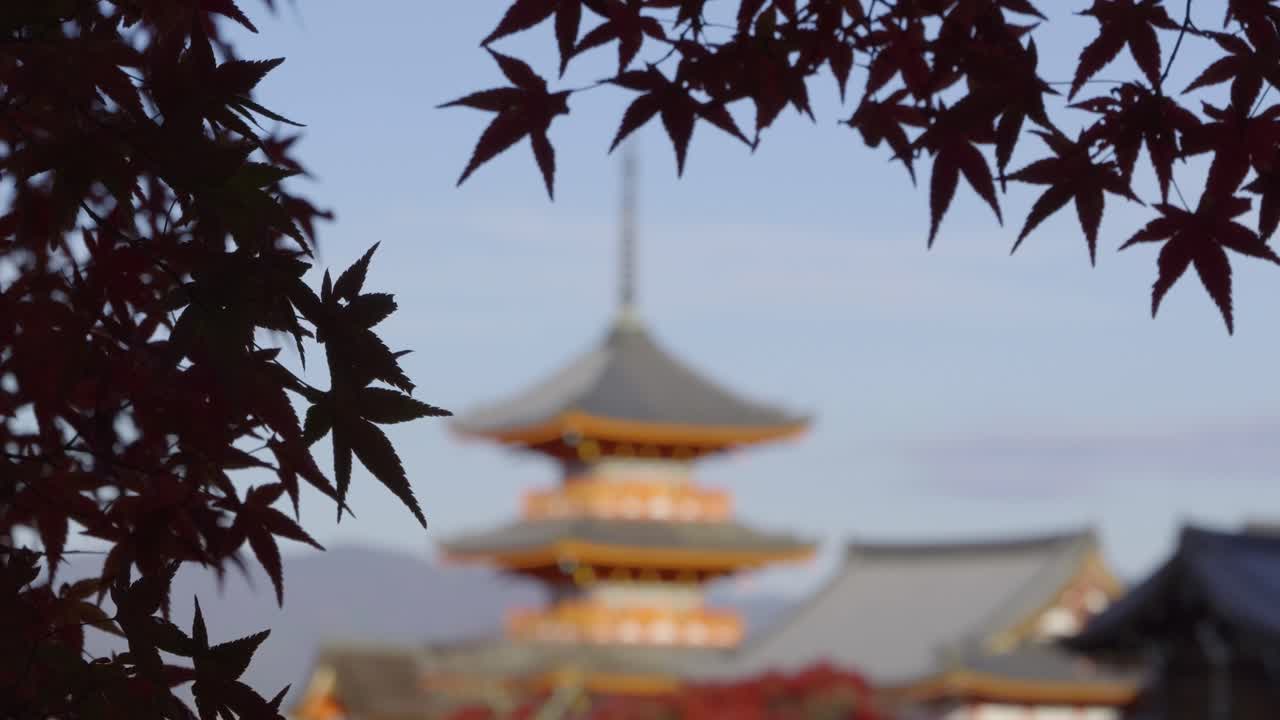 Incredible bokeh shot over pagoda at Kiyomizudera with maple color leaves