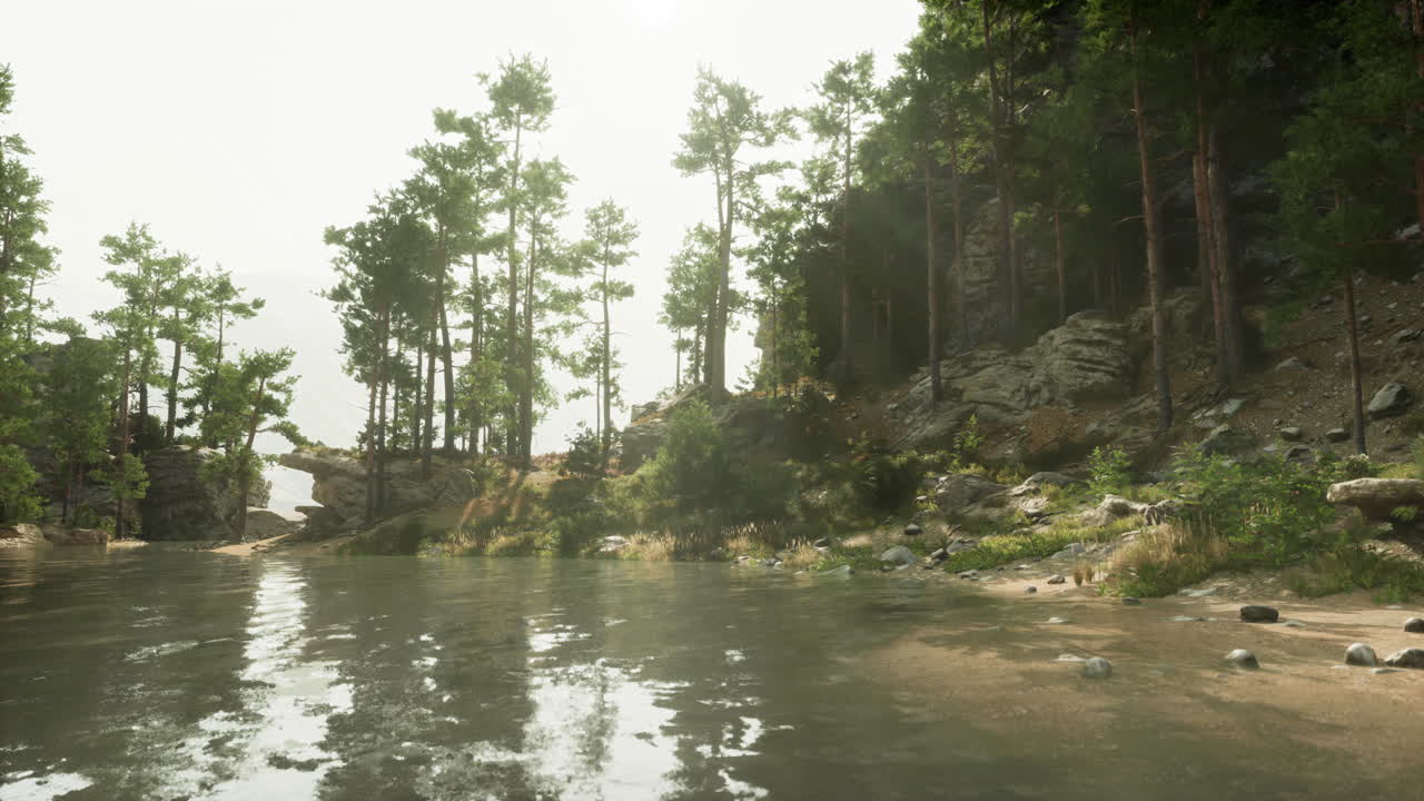 Tranquil Forest Lake