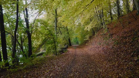 pov walking on a pretty autumn path by gyllebo lake with lots of orange leafs, skåne sweden - wide shot tracking forward