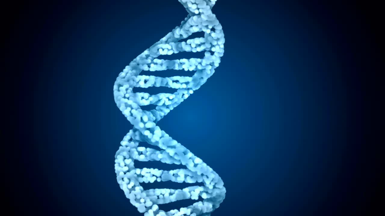 código de adn. abstracto 3d marco de alambre poligonal dna molécula hélice en espiral. animación en bucle.