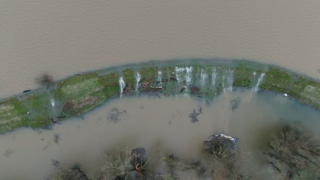 el agua del río waal fluye por las orillas inundando el paisaje circundante.