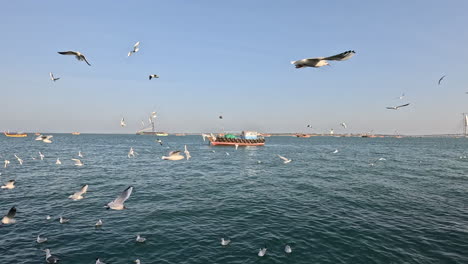 la tranquilidad de la bahía contrasta con la tensión cinematográfica creada por un barco anclado