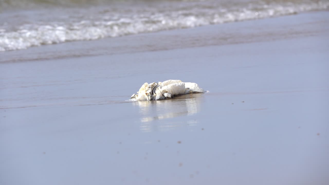 바다의 비닐봉지